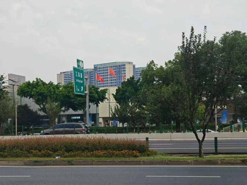 “油車不會死，但我怕了新能源！”丨市場調查
