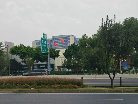 “油车不会死,但我怕了新能源!”丨市场调查
