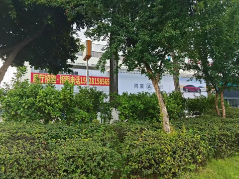 “油车不会死,但我怕了新能源!”丨市场调查