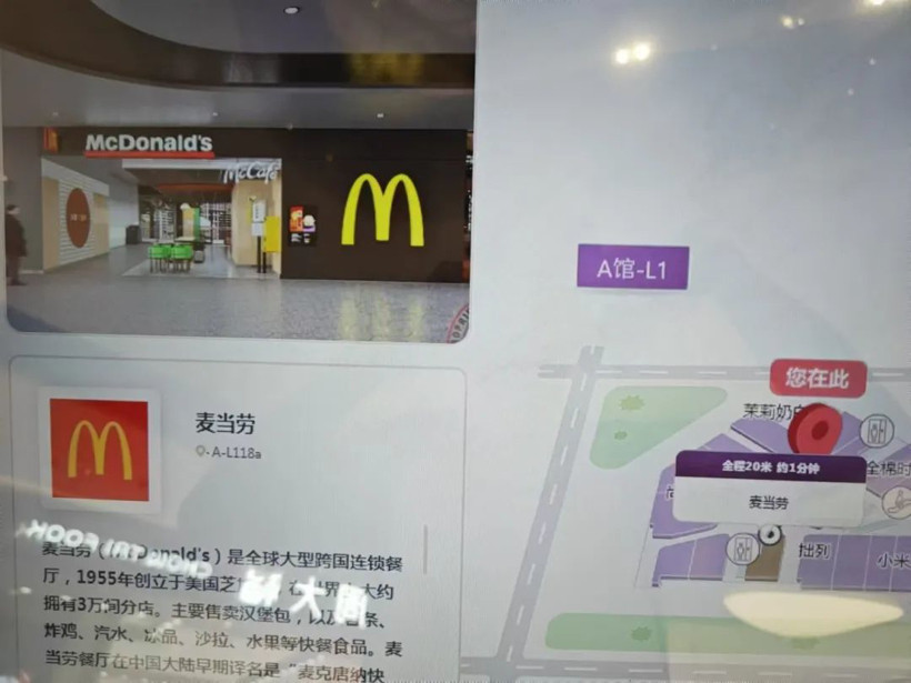 “油車不會死，但我怕了新能源！”丨市場調查