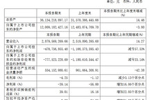 新能源汽車貢獻48%營收，芯聯集成2024上半年凈利潤減虧57.53%