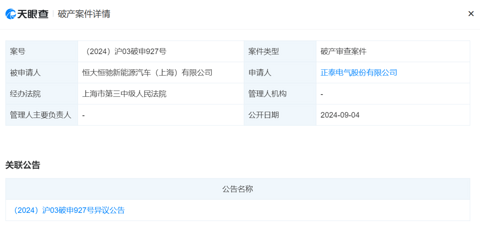 恒大恒驰新能源汽车（上海）有限公司被申请破产审查