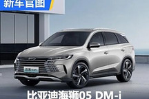 定位緊湊型SUV 比亞迪海獅05 DM-i官圖