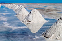 想造車的“鋰王”們，日子也難熬