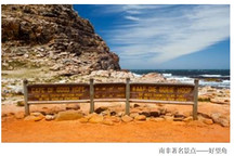 非洲，中國車企新“舒適圈”？