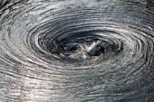 亲历9月10号，中国车市“卷”疯了