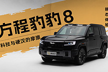 科技與硬漢的摩擦 靜態(tài)體驗(yàn)方程豹豹8