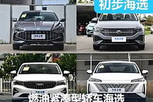 百姓之選 需兼左顧右 四款緊湊型車海選
