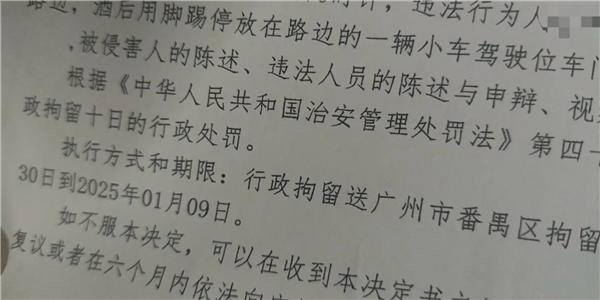 小米SU7停路边被踢了一脚 哨兵模式立功！踢车男子被送进拘留所跨年