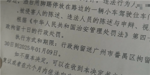 小米SU7停路边被踢了一脚 哨兵模式立功！踢车男子被送进拘留所跨年