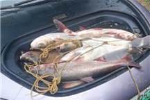 小米SU7前備箱被釣友裝魚：滴水不漏 完美！