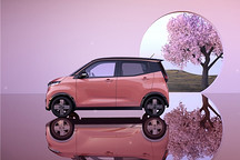 日本2024年電動(dòng)汽車銷量四年來(lái)首次下跌