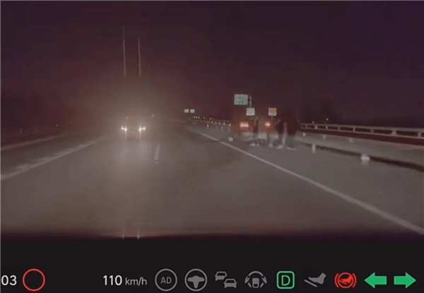 夜間120km/h跑高速突遇逆行車 理想AES緊急變道救下車主一命