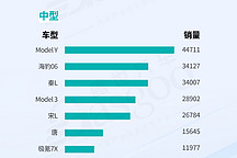 燃油乘用車市場格局穩定，新能源市場比亞迪稱雄 | 2024年11月各級別車型銷量排行榜