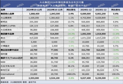 大眾集團(tuán)2024年全球交付量同比下跌2.3%