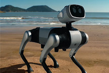 無需遙控的智能機(jī)器狗來了，9988元就能帶回家