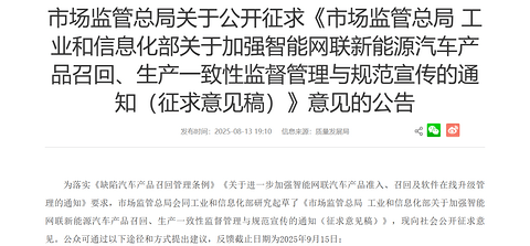 中国汽车已告别“野蛮生长”？|看见2025