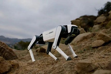 蓝思智能永安基地投产，年产可达50万台具身智能机器人