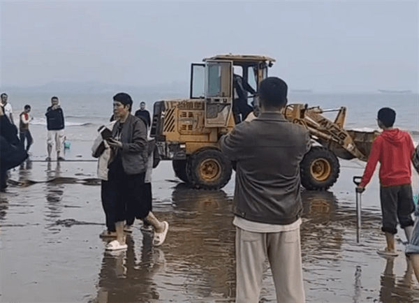 特斯拉Model 3深陷海灘：越野車、皮卡救援無果 還得鏟車上！