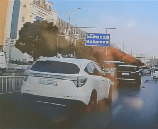 網(wǎng)友看到綠牌本田電動車冒黑煙 提醒車起火了！車主：我裝的柴暖