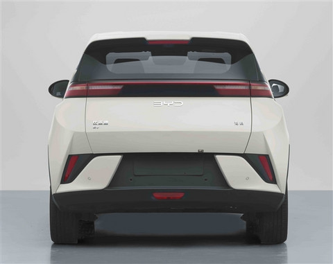 比亚迪击穿辅助驾驶底价！新款海鸥亮相：10万内小车也能选激光雷达