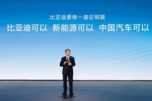 暗潮涌动的2025，比亚迪“抗住了”风浪