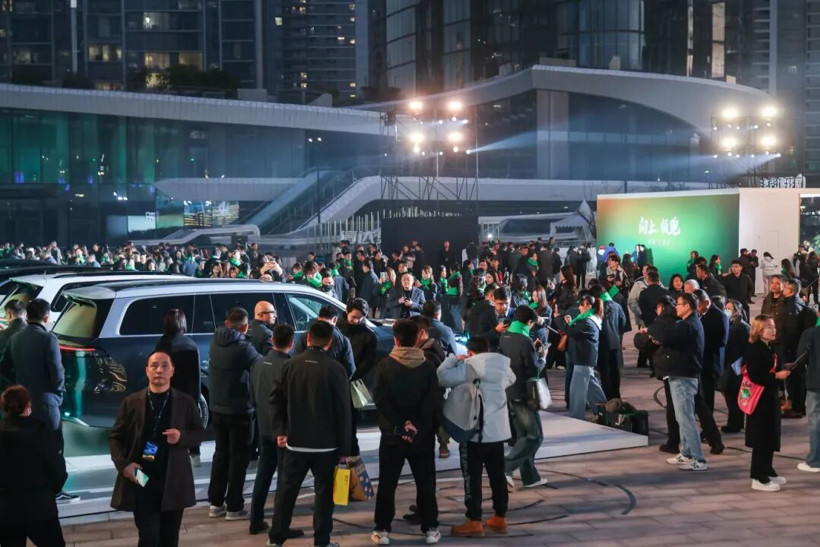 2025，“蔚小理零”逃离斩杀线