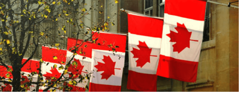 加拿大汽车新政放大招！本土设厂优先，关税博弈谁能笑到最后？