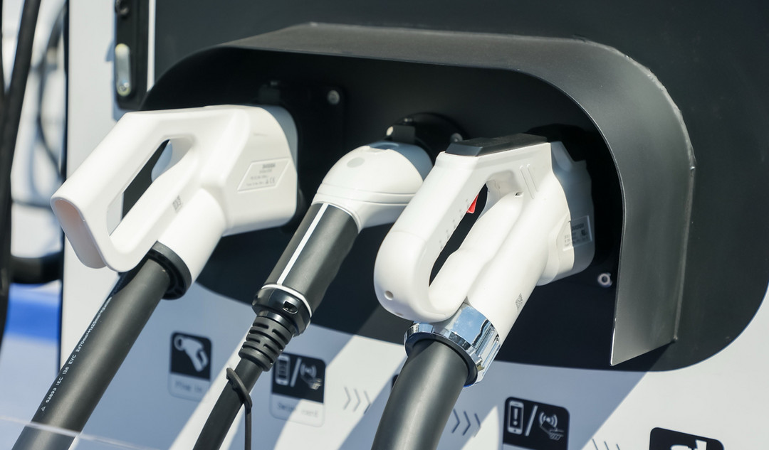 晓莺说 | 世界大而不同