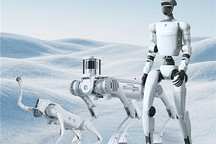 年度冠军易主？宇树官宣人形机器人出货超5500台，或反超智元