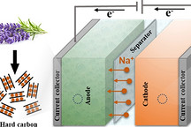 薰衣草材料也可用于钠电池？科学家将花卉废料转化为储能装置