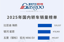 新能源领跑，自主品牌加速崛起丨2025年轿车/SUV车型销量榜
