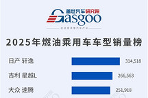 自主五车跻身燃油前十，海鸥52.9万+领跑新能源丨2025年燃油车型/新能源车型销量榜