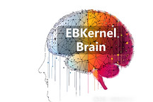 具身智能的钱，流向变了