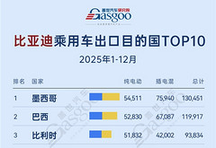 拉美狂销25万辆，中东插混崛起丨2025年1-12月比亚迪乘用车出口TOP10国家