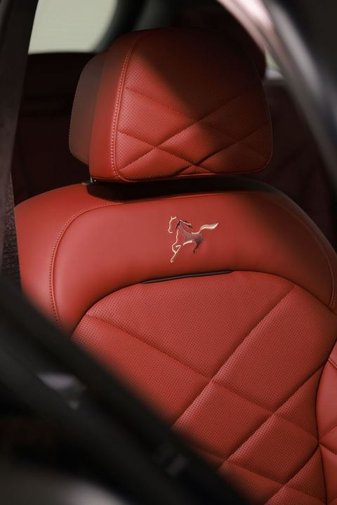 新世代BMW iX3长轴距版落地沈阳 宝马X5推出马年专属版-图6