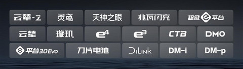 2025车企复购率榜单出炉：比亚迪车主复购率30.55%位居第一