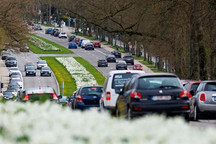 智库：欧盟需制定智能汽车数据安全规则