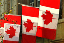 为何专家认为2026年加拿大二手车价格难有回落