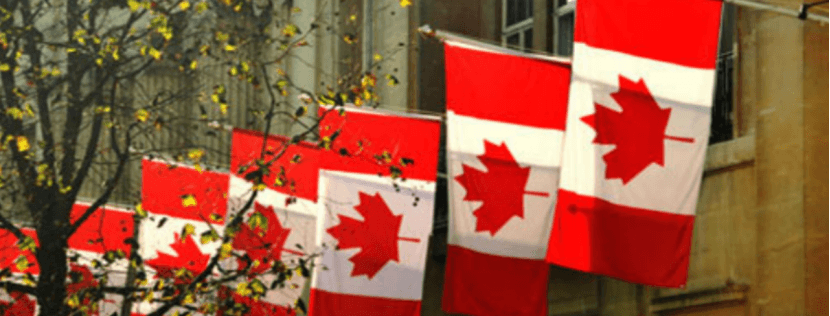 为何专家认为2026年加拿大二手车价格难有回落