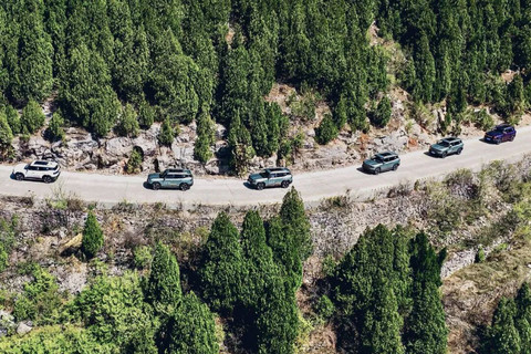 方盒子SUV：国产三强鼎立，外资彻底失势？