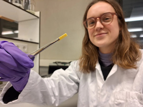 瓦格宁根大学研发新型塑料 未来或可用于汽车车身