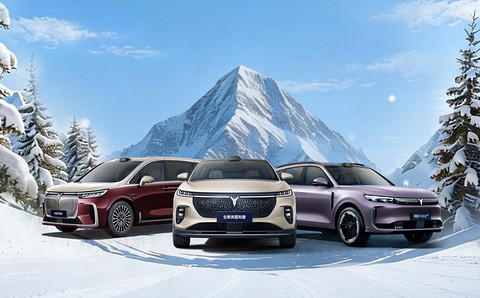 岚图登陆港股前夕：审批半年收官，销量差一程