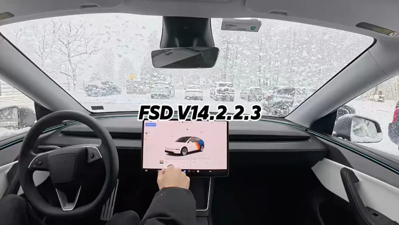 FSD入华是狼，那谁是待宰的羔羊？