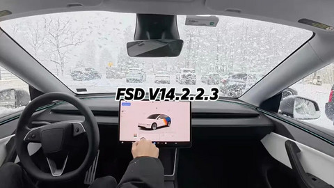 FSD入华是狼，那谁是待宰的羔羊？