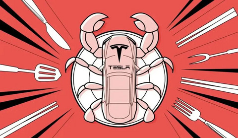 FSD入华是狼，那谁是待宰的羔羊？