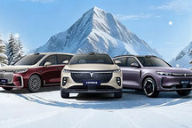 定了，岚图3月“接棒”上市