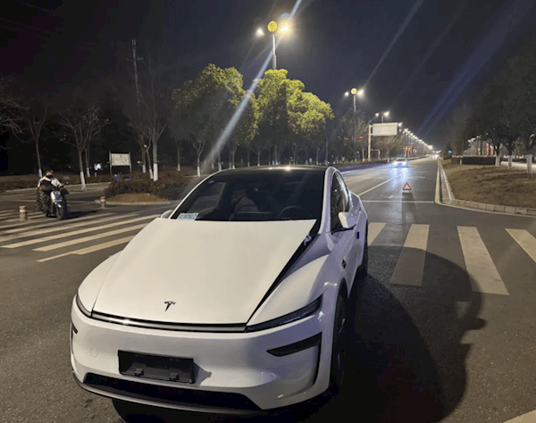 特斯拉Model Y提车不到5小时被狗“吓坏”！车主：修车花了1.7万