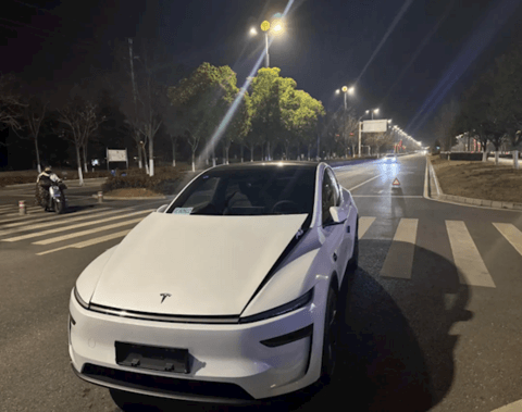 特斯拉Model Y提车不到5小时被狗“吓坏”！车主：修车花了1.7万