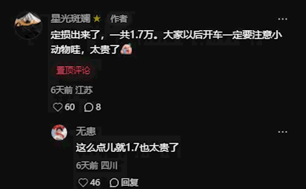 特斯拉Model Y提车不到5小时被狗“吓坏”！车主：修车花了1.7万